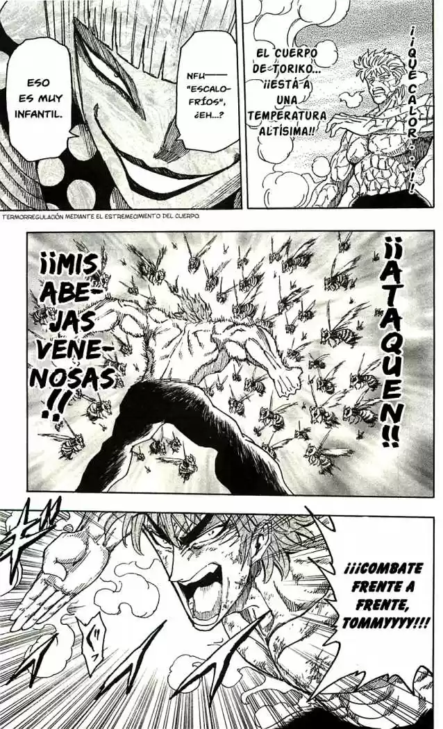 Toriko (2008) - Capítulo 84 - Página 18 - LectorTMOo