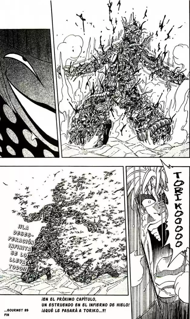 Toriko (2008) - Capítulo 85 - Página 19 - LectorTMOo