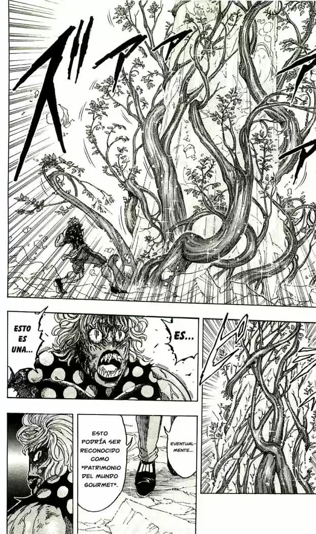 Toriko (2008) - Capítulo 88 - Página 17 - LectorTMOo