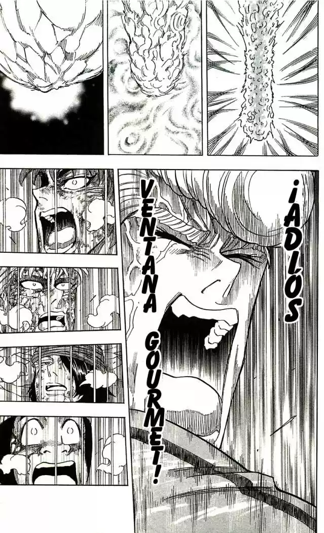 Toriko (2008) - Capítulo 91 - Página 14 - LectorTMOo