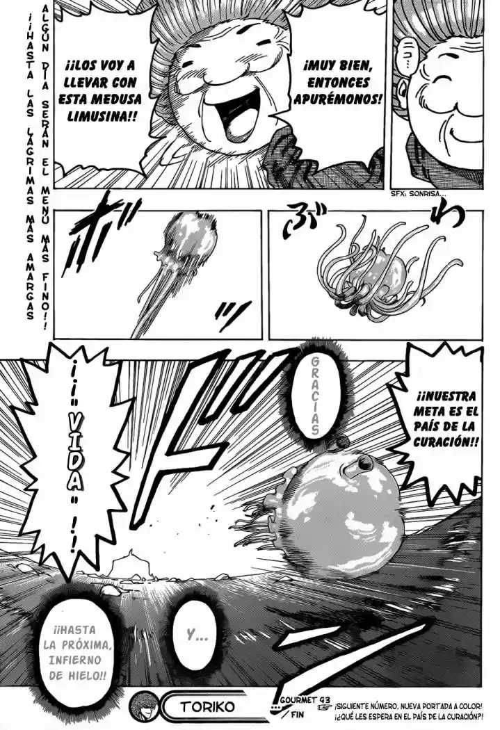 Toriko (2008) - Capítulo 93 - Página 18 - LectorTMOo