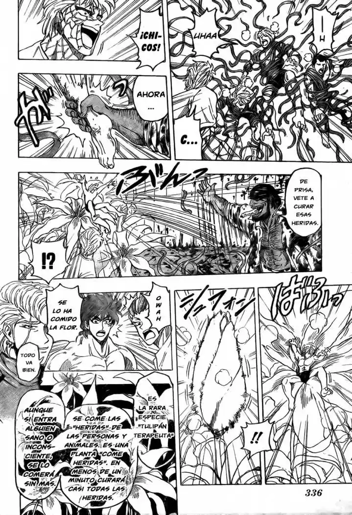 Toriko (2008) - Capítulo 95 - Página 12 - LectorTMOo