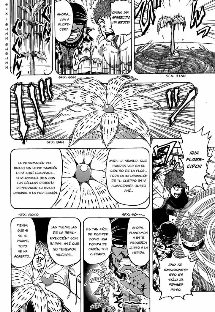 Toriko (2008) - Capítulo 96 - Página 10 - LectorTMOo