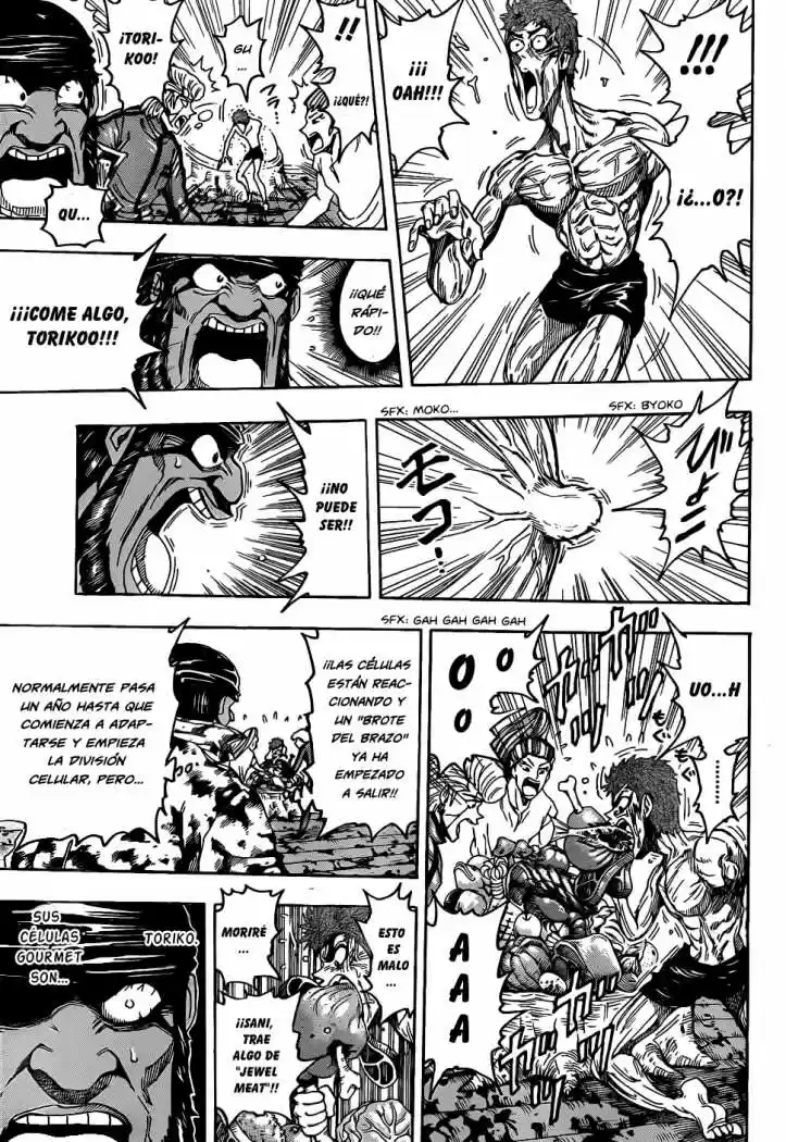 Toriko (2008) - Capítulo 96 - Página 13 - LectorTMOo