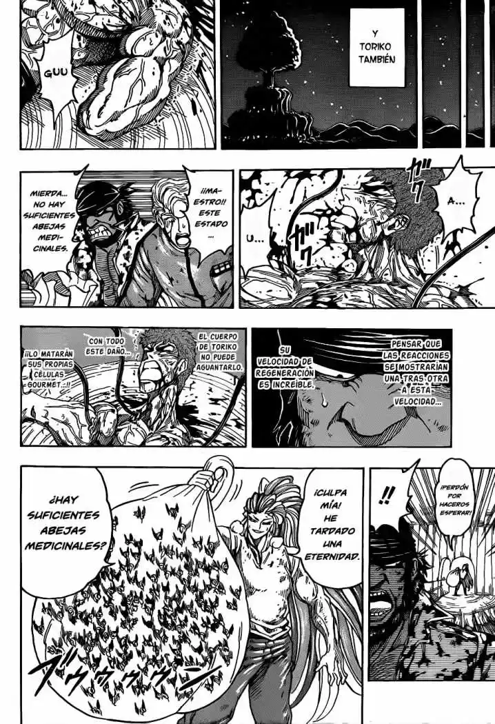 Toriko (2008) - Capítulo 97 - Página 16 - LectorTMOo