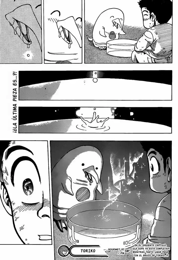 Toriko (2008) - Capítulo 97 - Página 19 - LectorTMOo