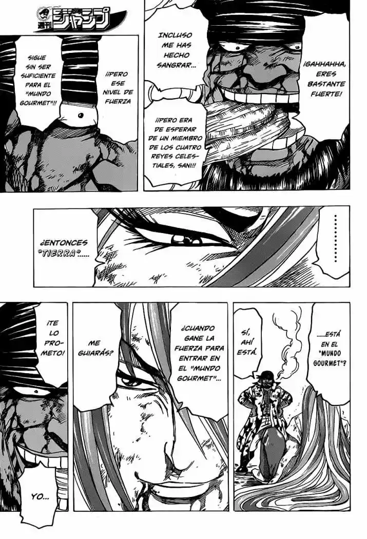 Toriko (2008) - Capítulo 99 - Página 17 - LectorTMOo
