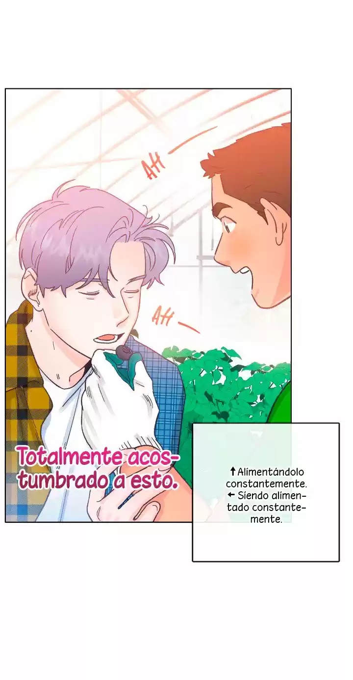 Tractor lleno de amor (2020) - Capítulo 22 - Página 48 - LectorTMOo