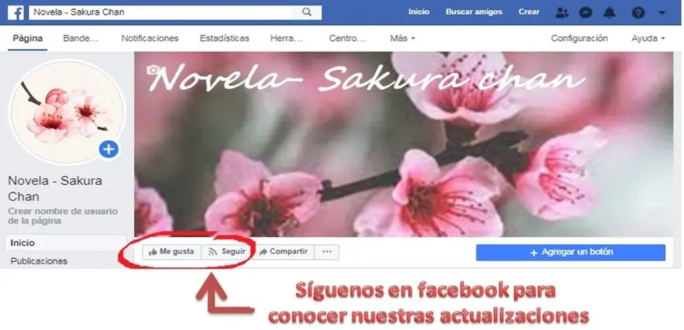 VOLVERNOS A CASAR, ¡DE NINGUNA MANERA! (Novela) (2018) - Capítulo 241 - Página 6 - LectorTMOo