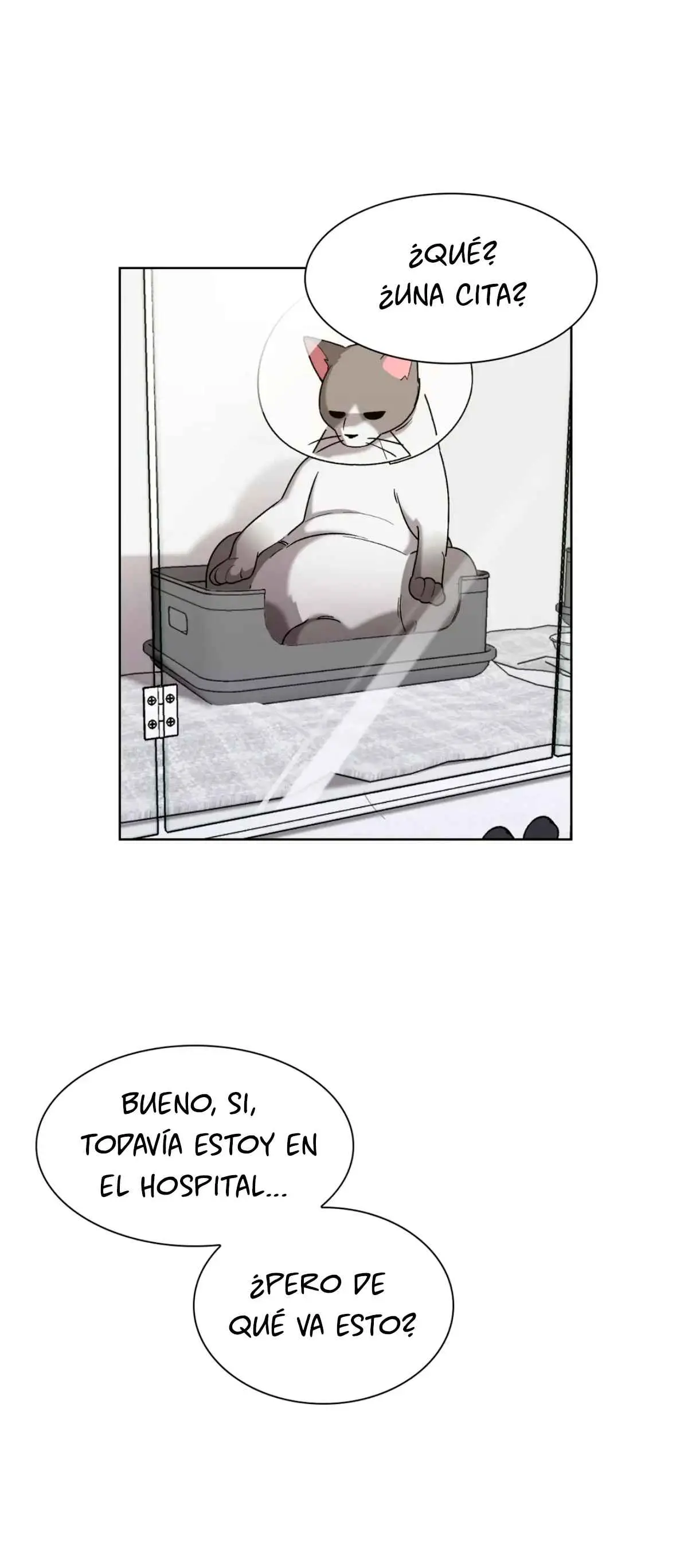 When the Magpie Comes (2023) - Capítulo 12 - Página 33 - LectorTMOo