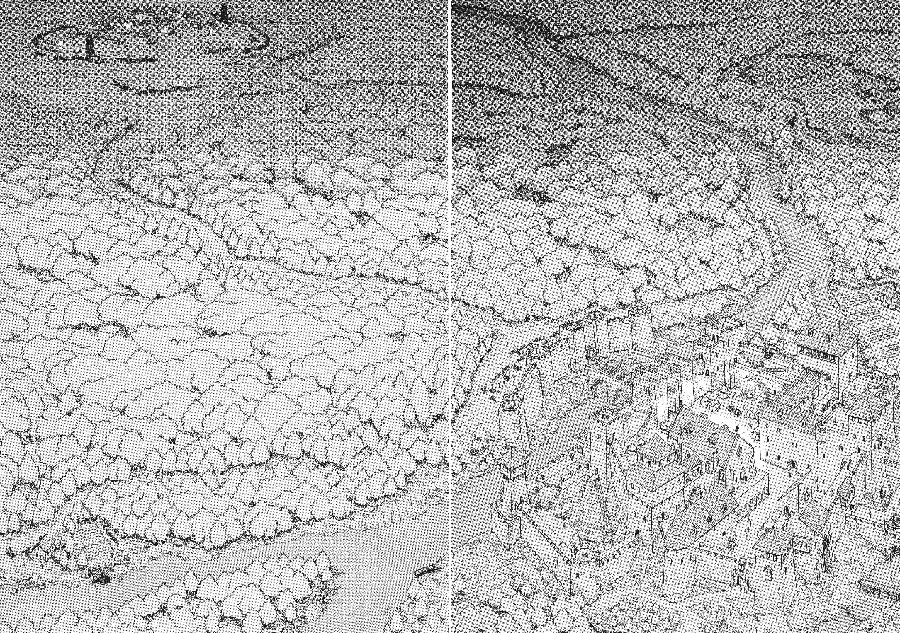 Berserk capítulo 0.1 página 22