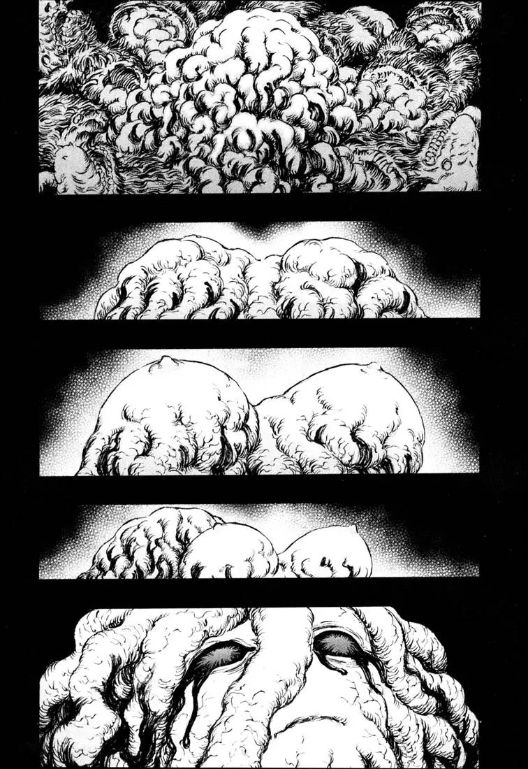 Berserk capítulo 219 página 8