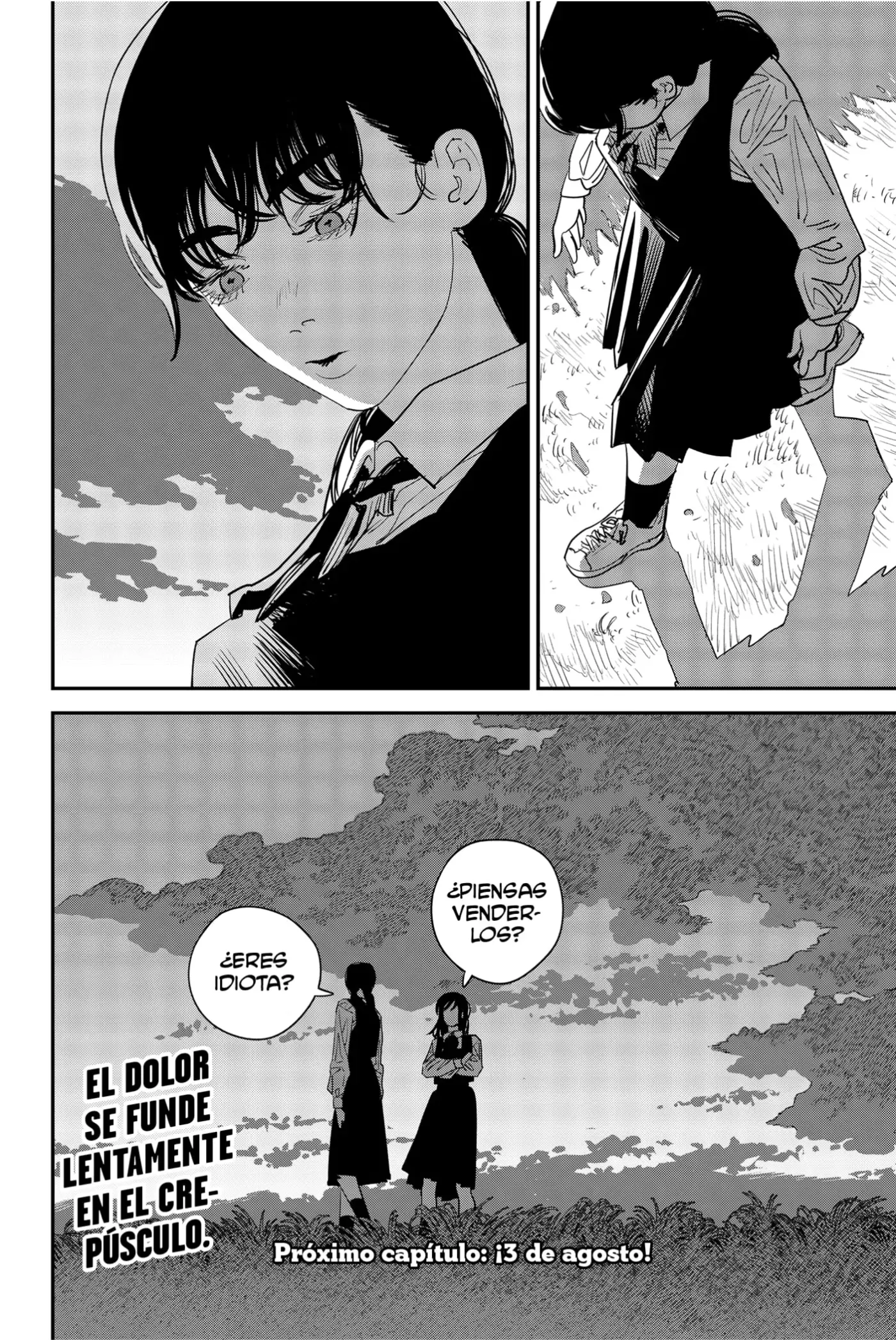 Chainsaw Man capítulo 100 página 19