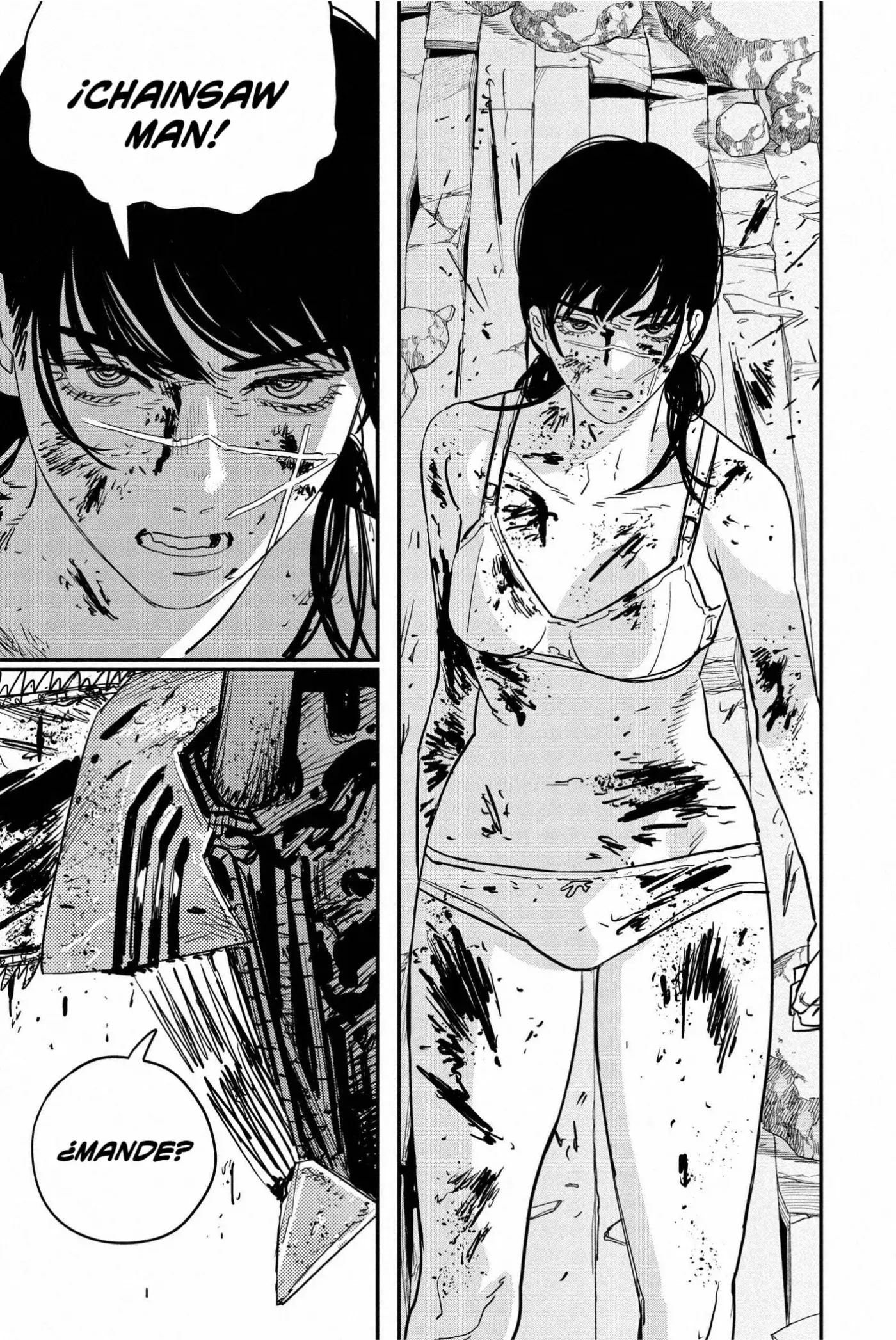Chainsaw Man capítulo 109 página 14