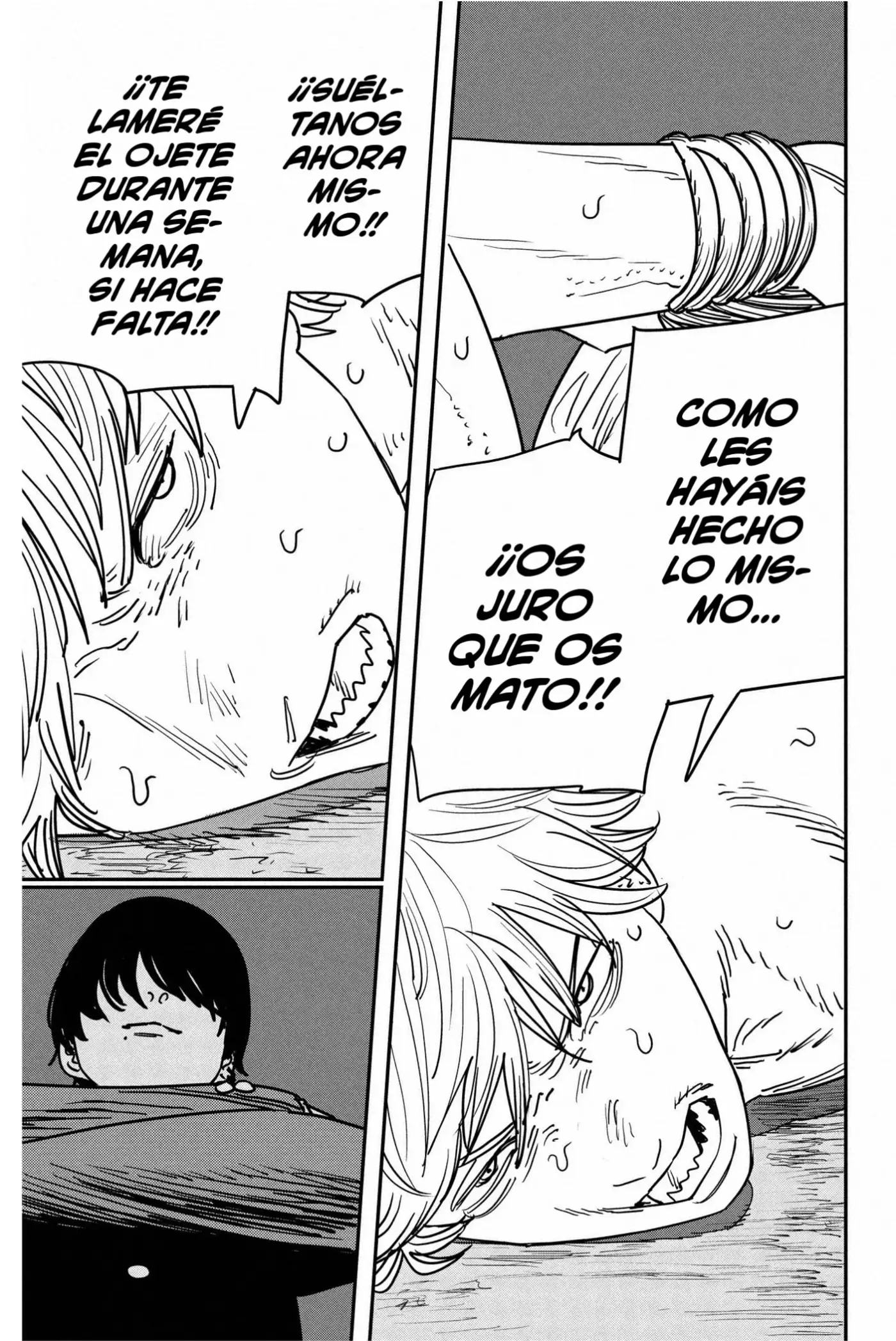 Chainsaw Man capítulo 132 página 14