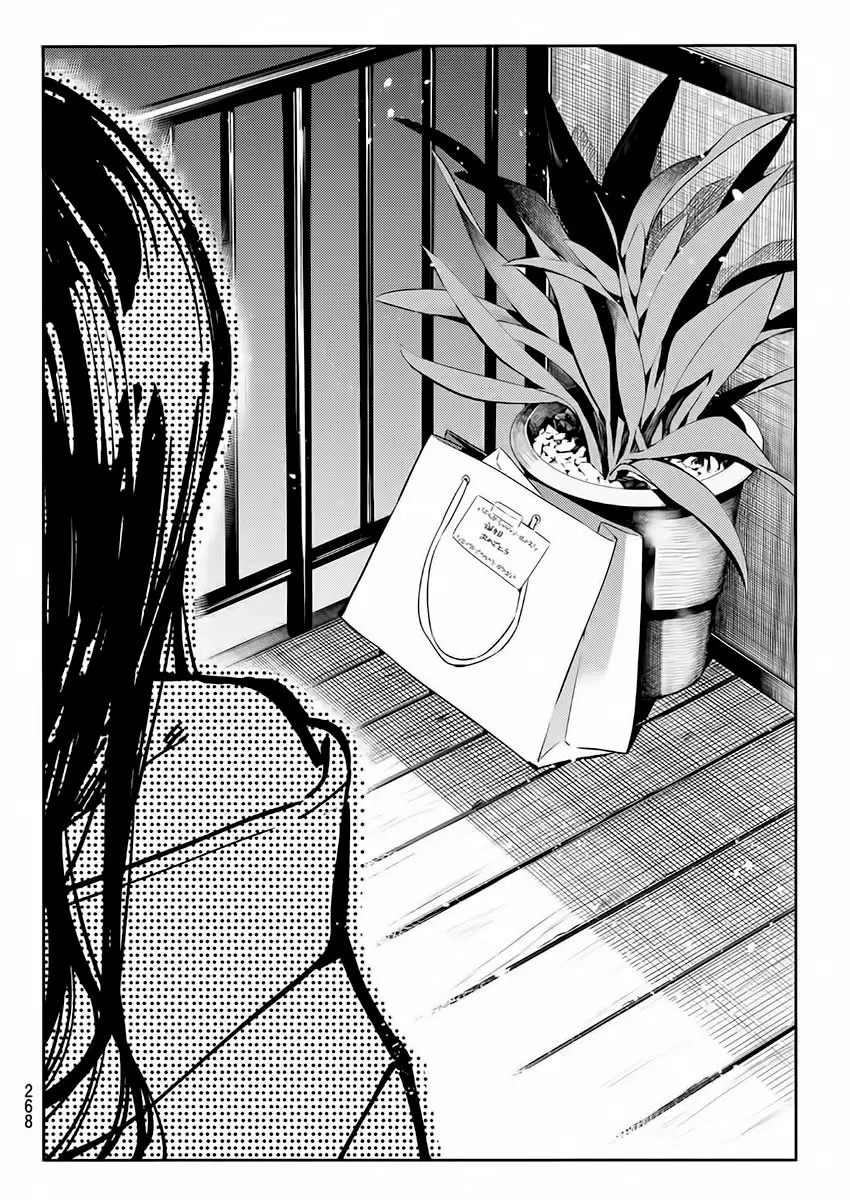 Kanojo, Okarishimasu capítulo 69 página 15