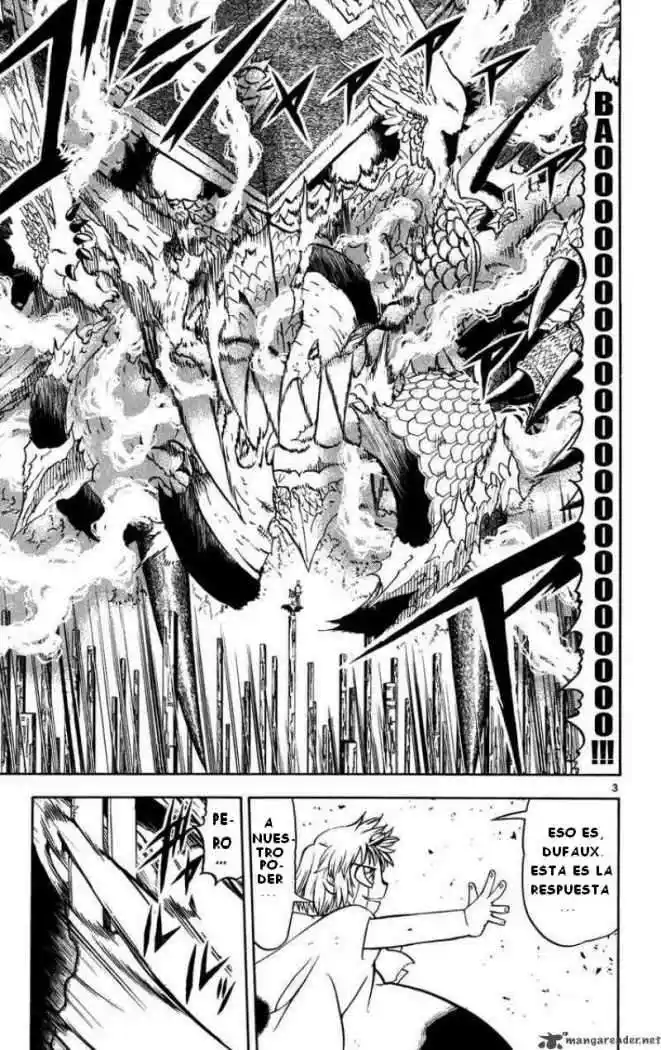 Konjiki no Gash - Capítulo 272 - Página 3 - LectorTMOo