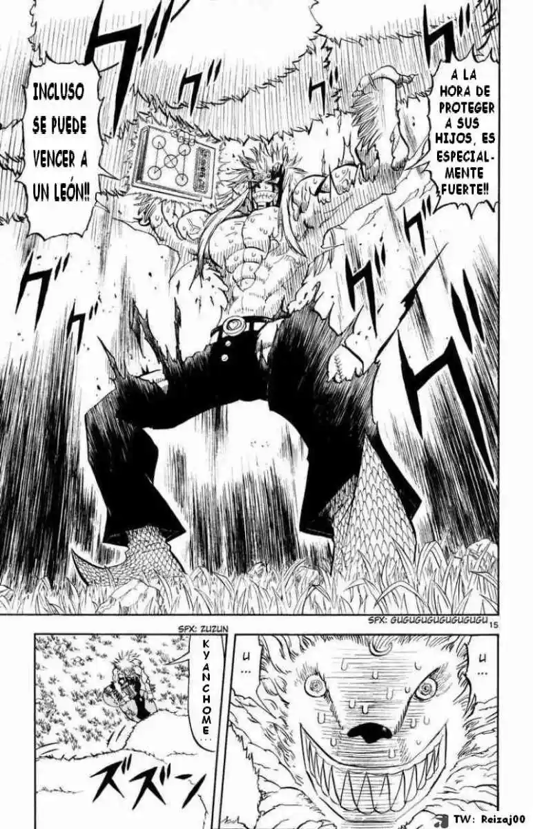 Konjiki no Gash - Capítulo 300 - Página 13 - LectorTMOo