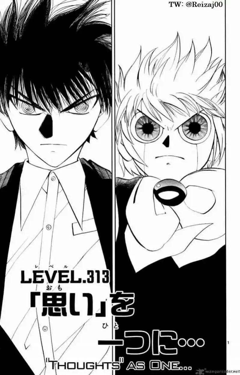 Konjiki no Gash - Capítulo 313 - Página 1 - LectorTMOo