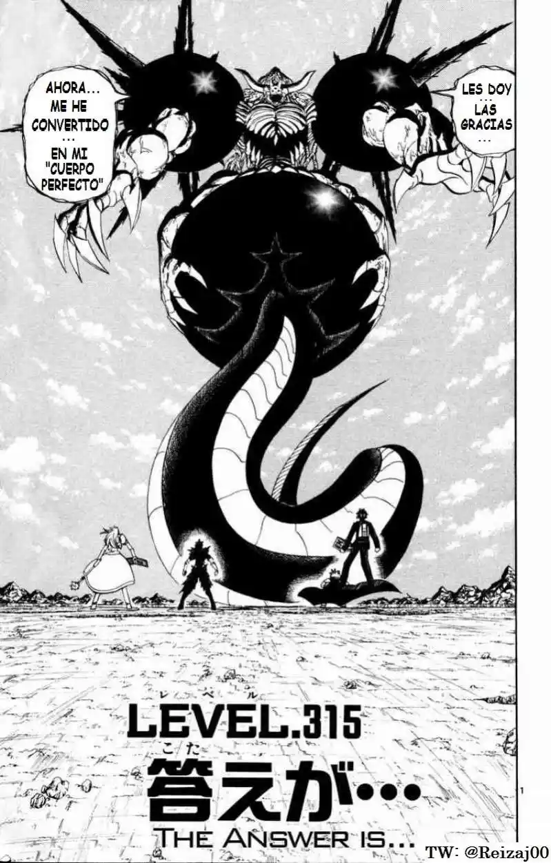 Konjiki no Gash - Capítulo 315 - Página 1 - LectorTMOo