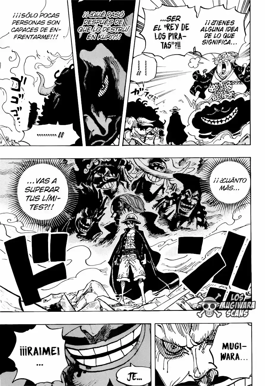 One Piece capítulo 1001.5 página 4