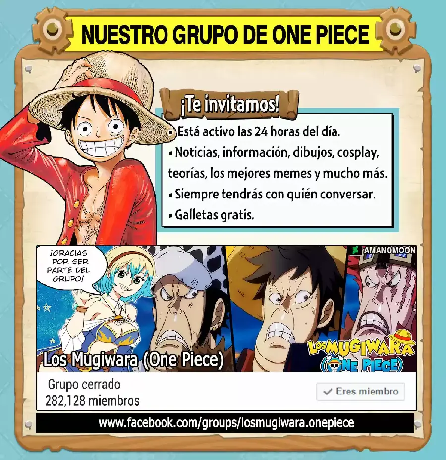 One Piece capítulo 1002.5 página 15