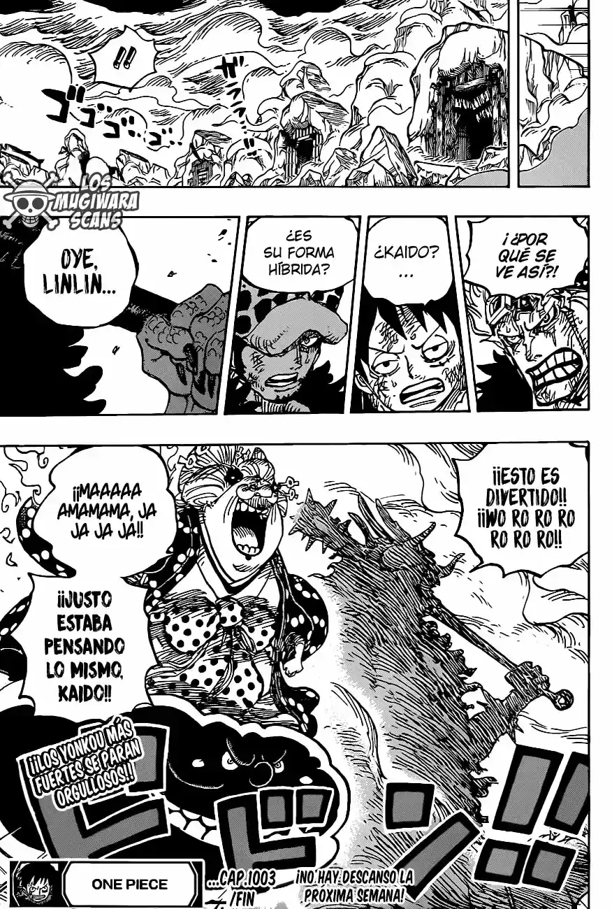 One Piece capítulo 1003.5 página 14