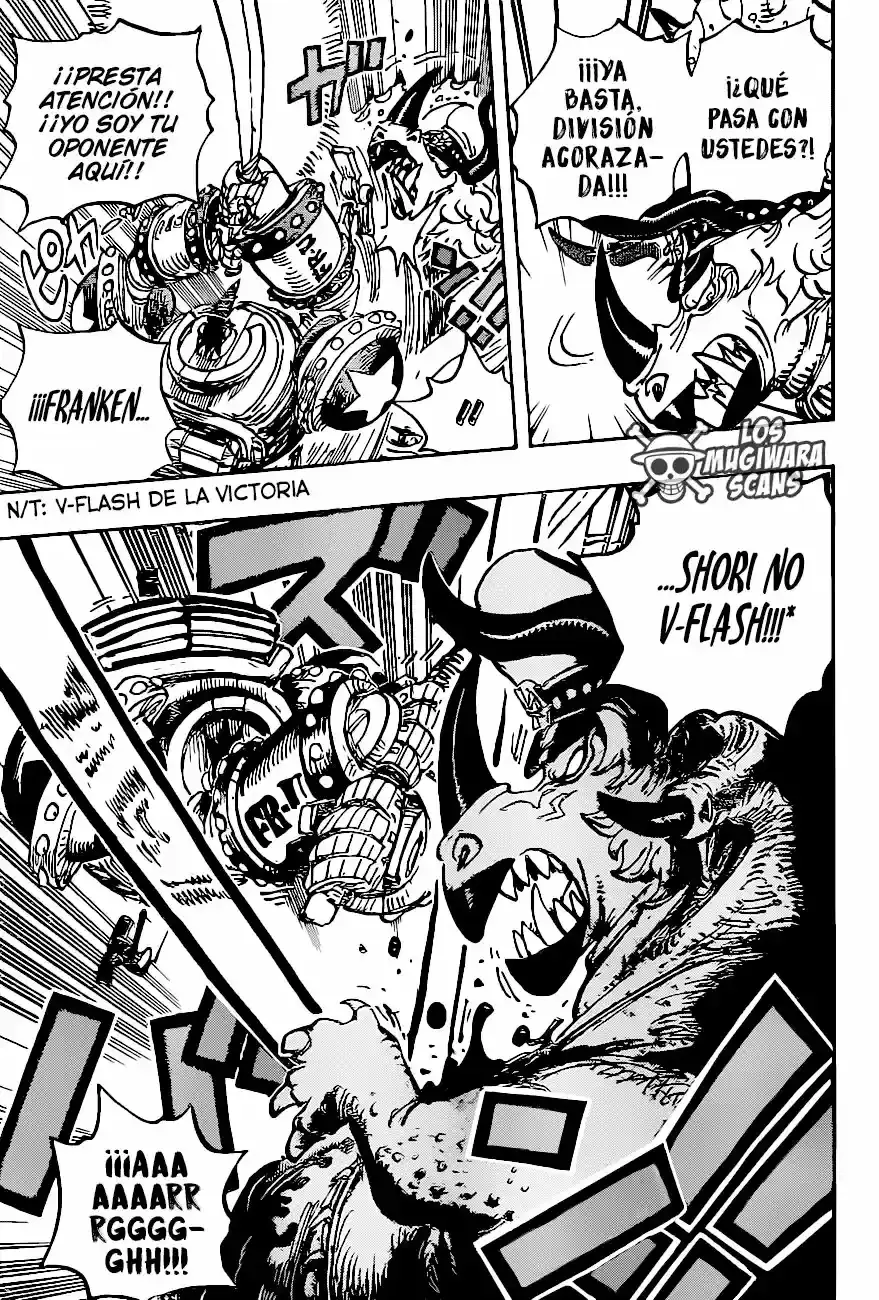 One Piece capítulo 1004.5 página 13