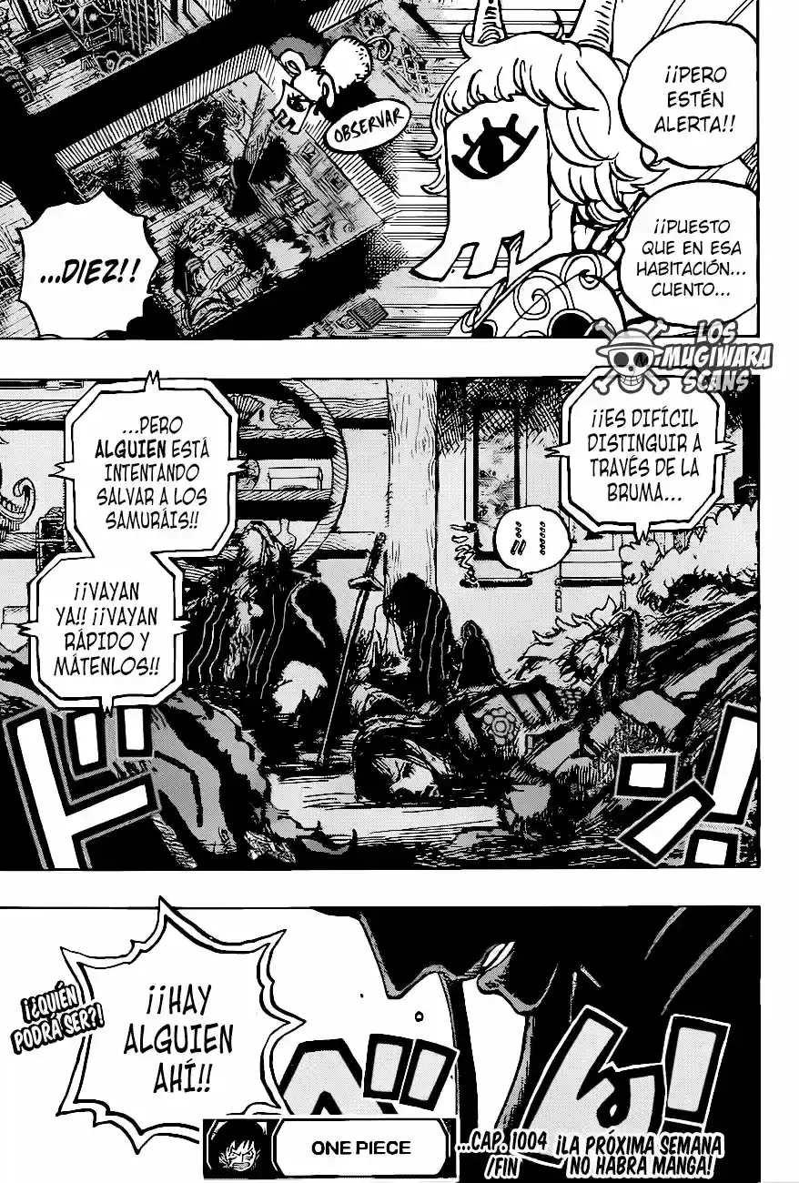 One Piece capítulo 1004.5 página 17