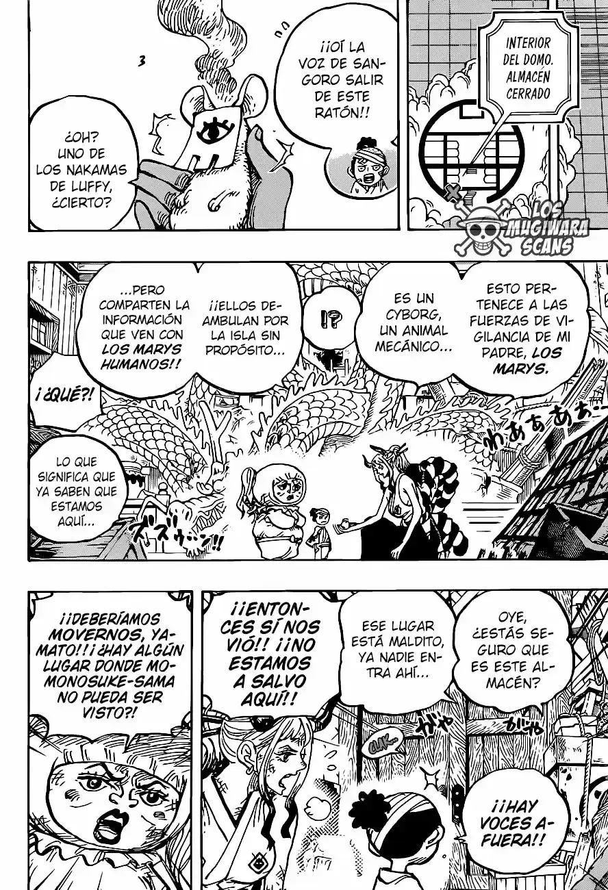 One Piece capítulo 1005.5 página 14