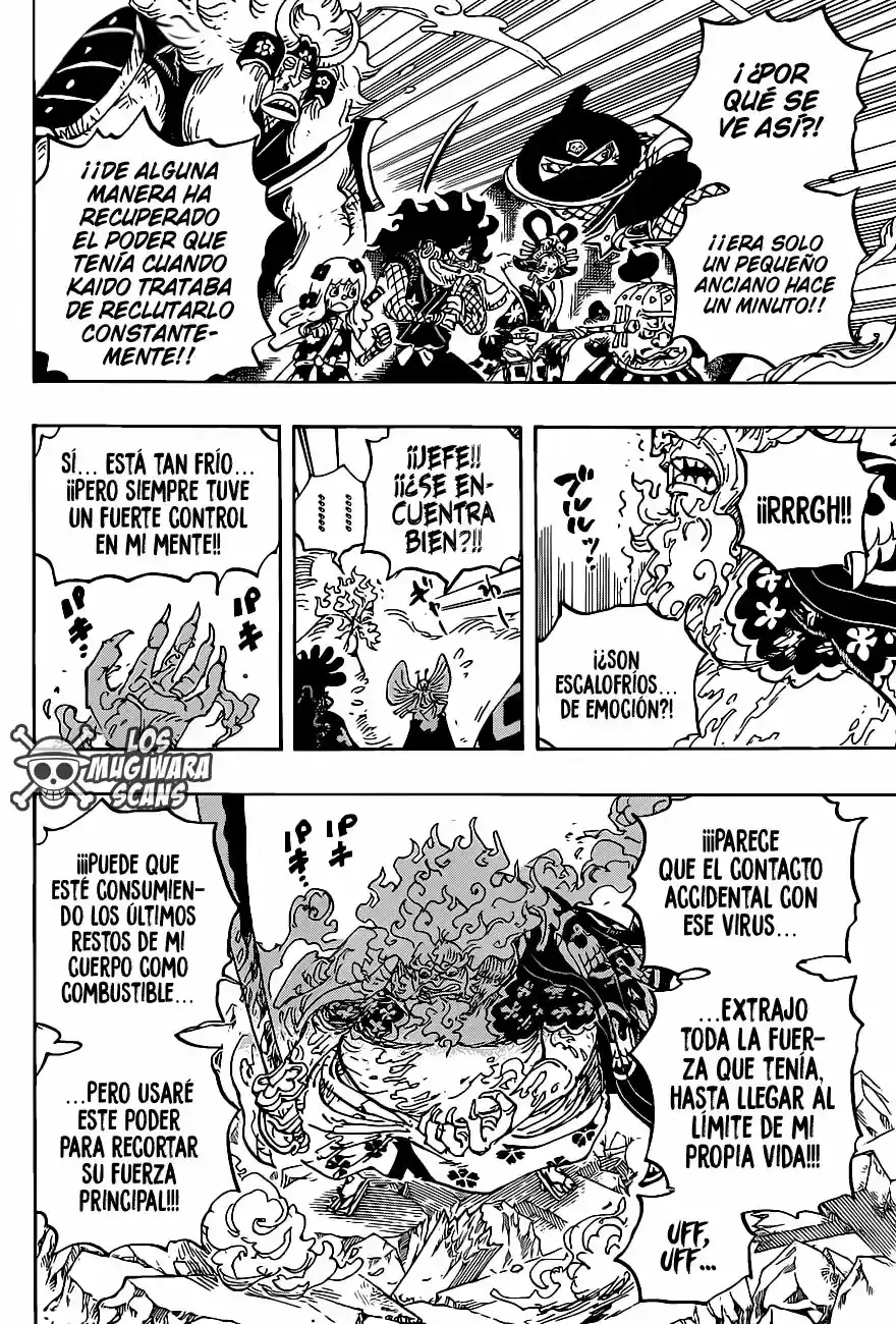 One Piece capítulo 1006.5 página 11