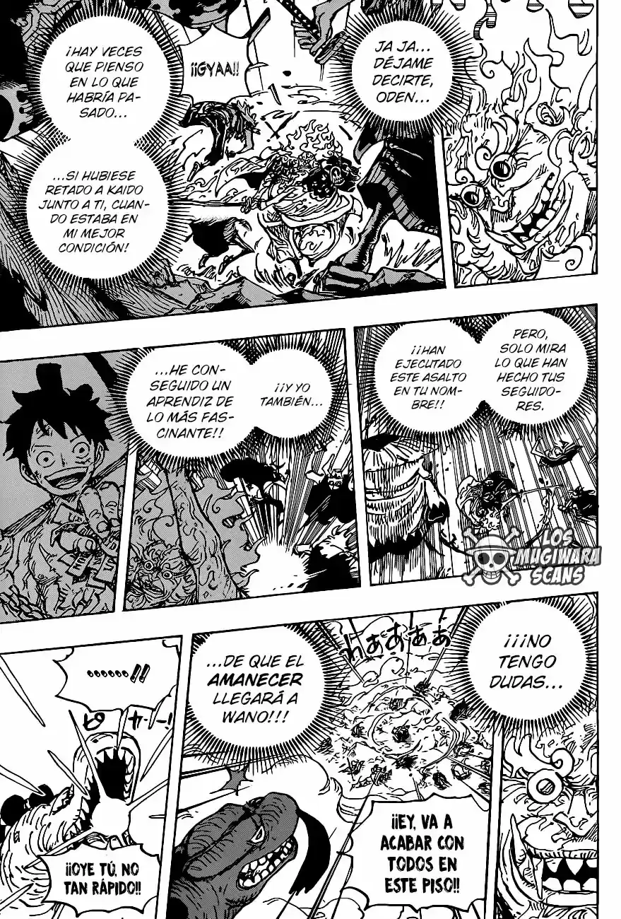 One Piece capítulo 1006.5 página 14