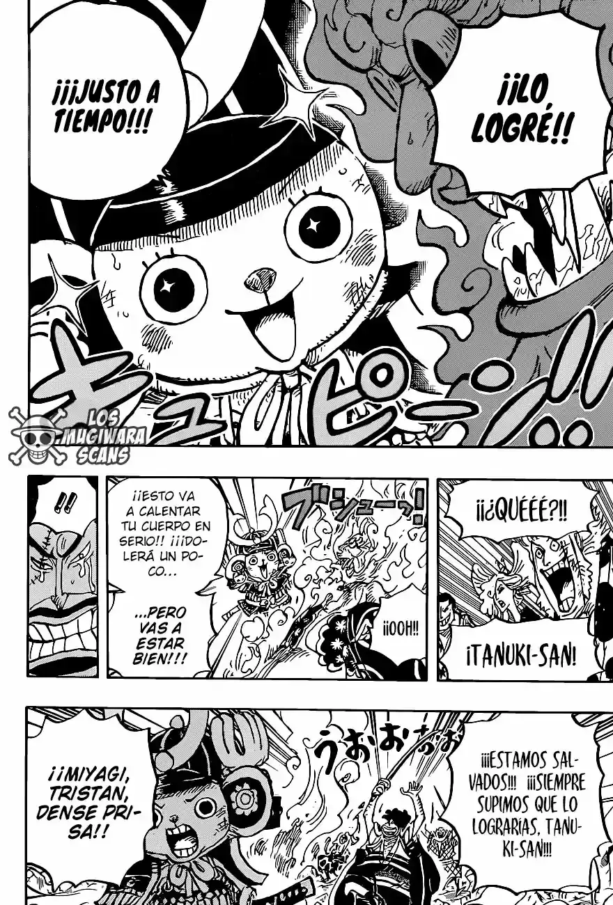 One Piece capítulo 1007.5 página 9