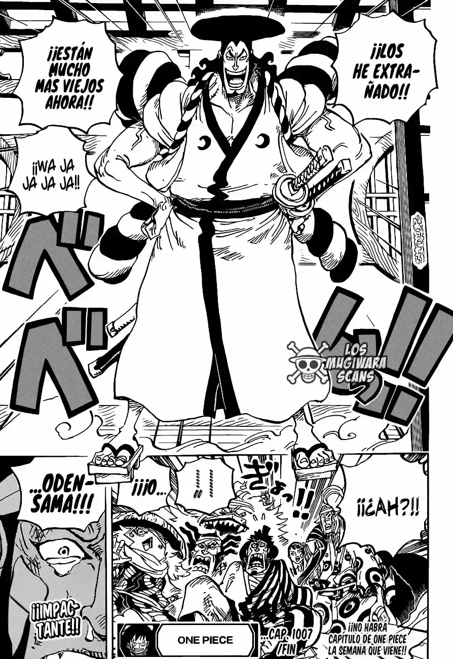 One Piece capítulo 1007.5 página 17