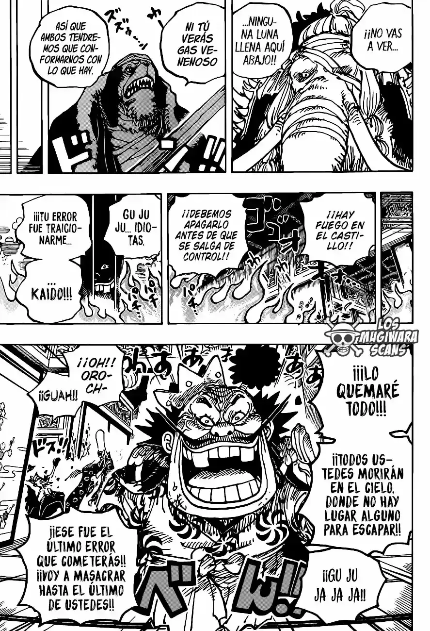 One Piece capítulo 1008.5 página 14
