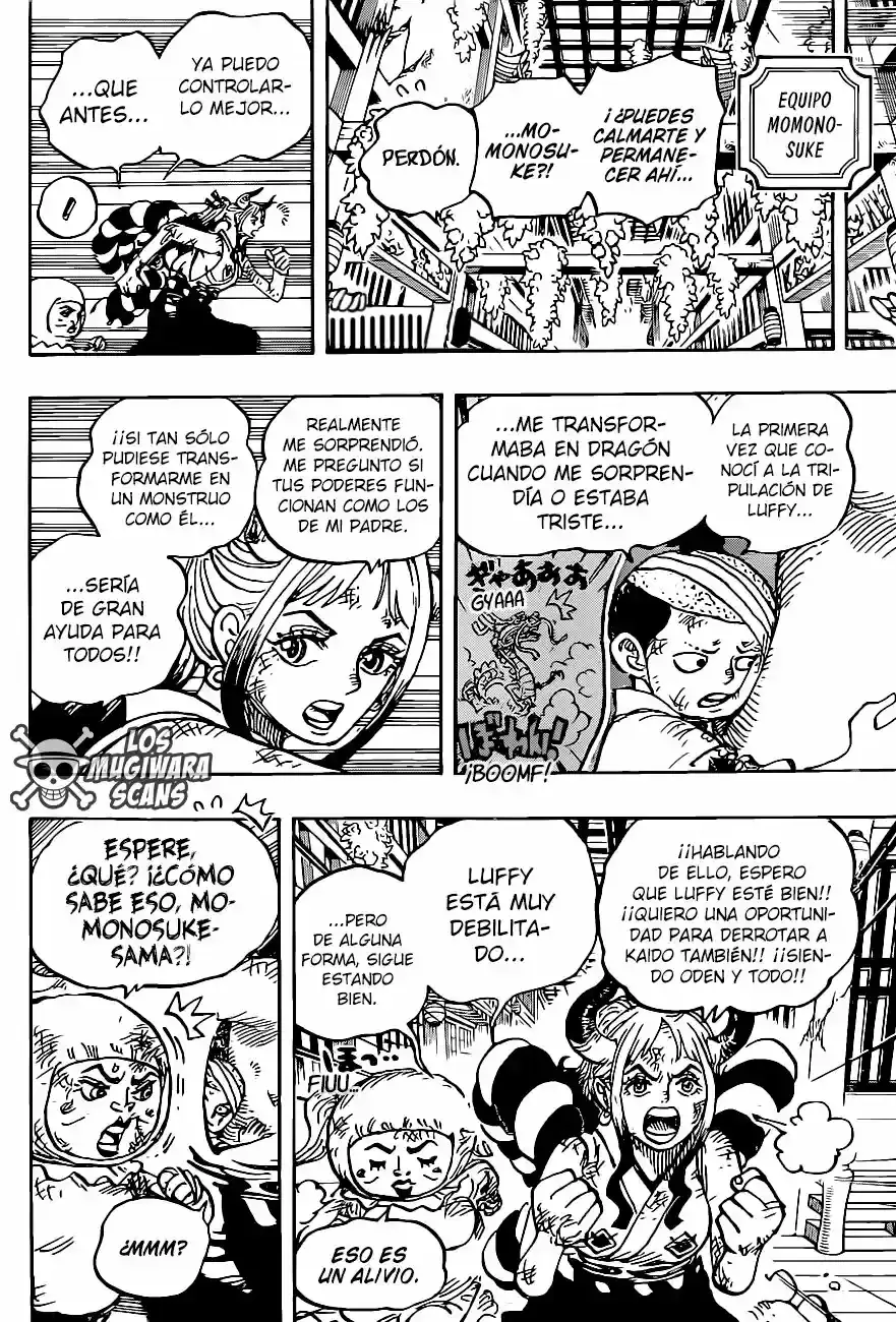 One Piece capítulo 1008.5 página 15