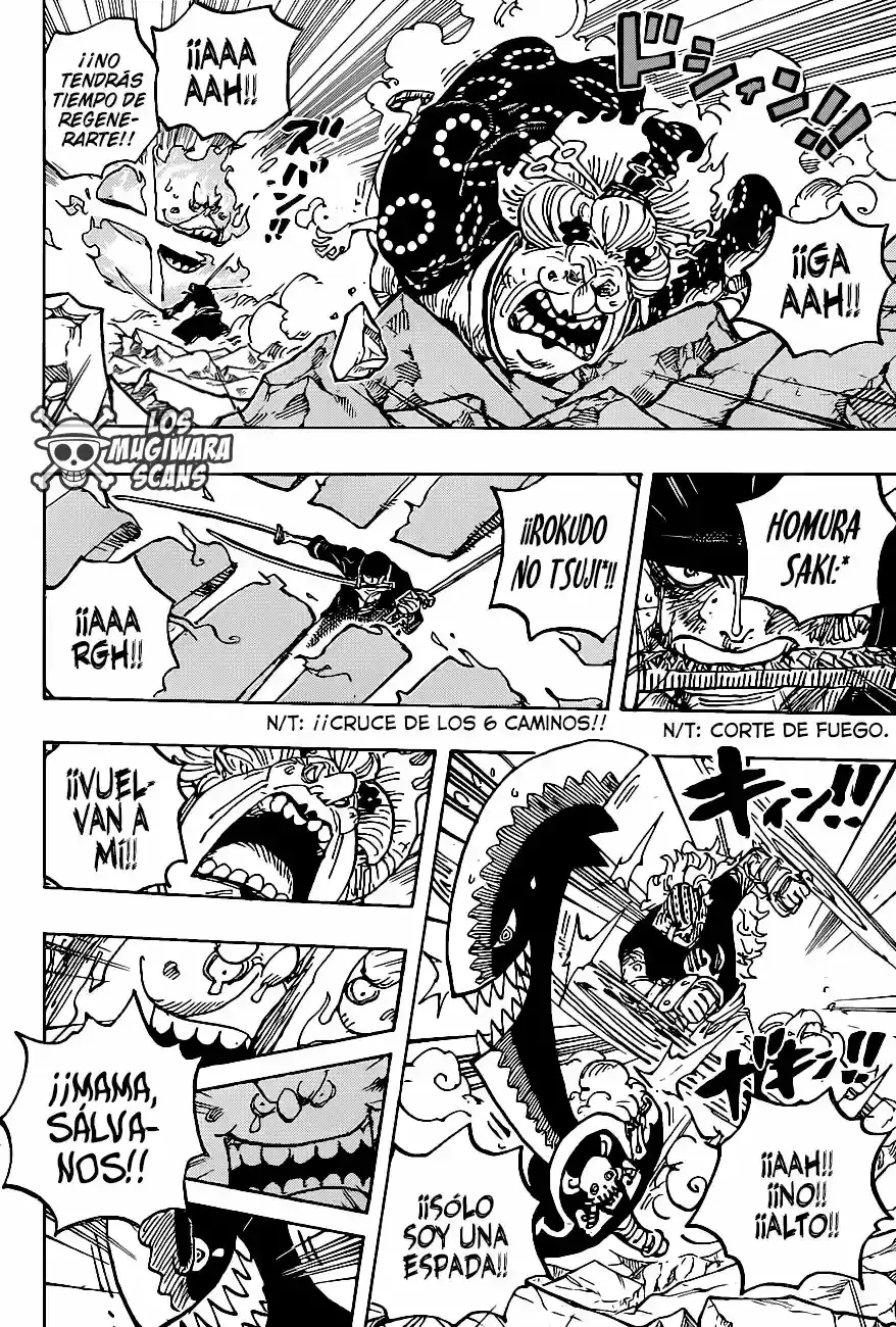 One Piece capítulo 1009.5 página 15
