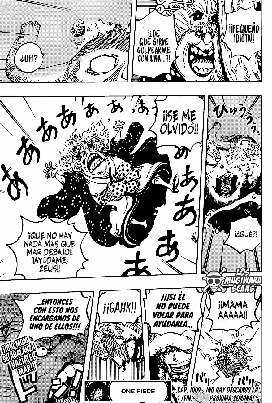 One Piece capítulo 1009.5 página 18