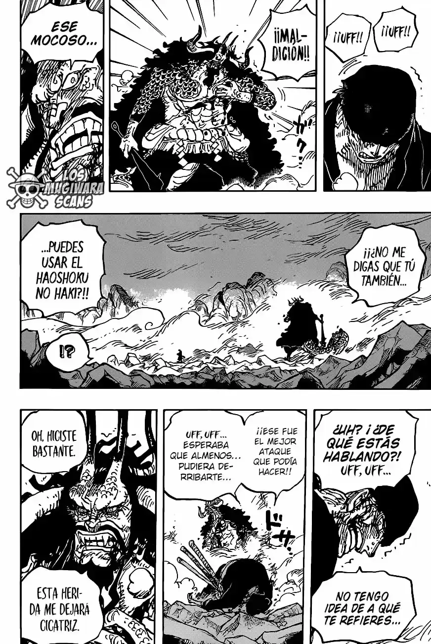 One Piece capítulo 1010.5 página 10