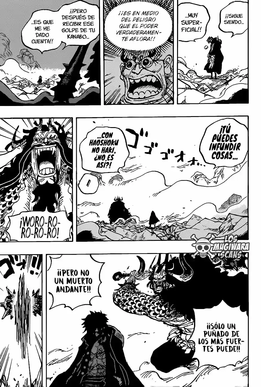 One Piece capítulo 1010.5 página 12