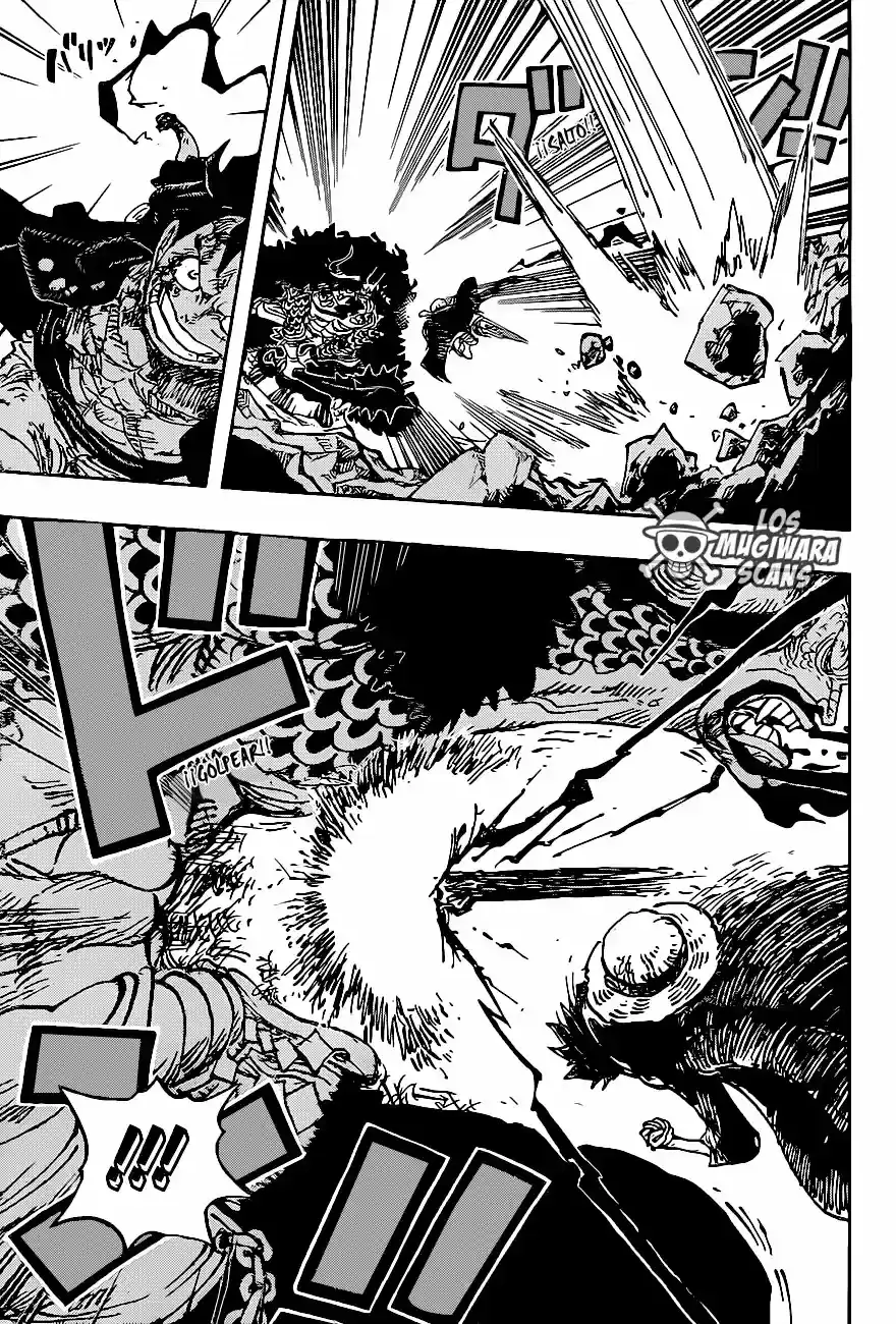 One Piece capítulo 1010.5 página 14
