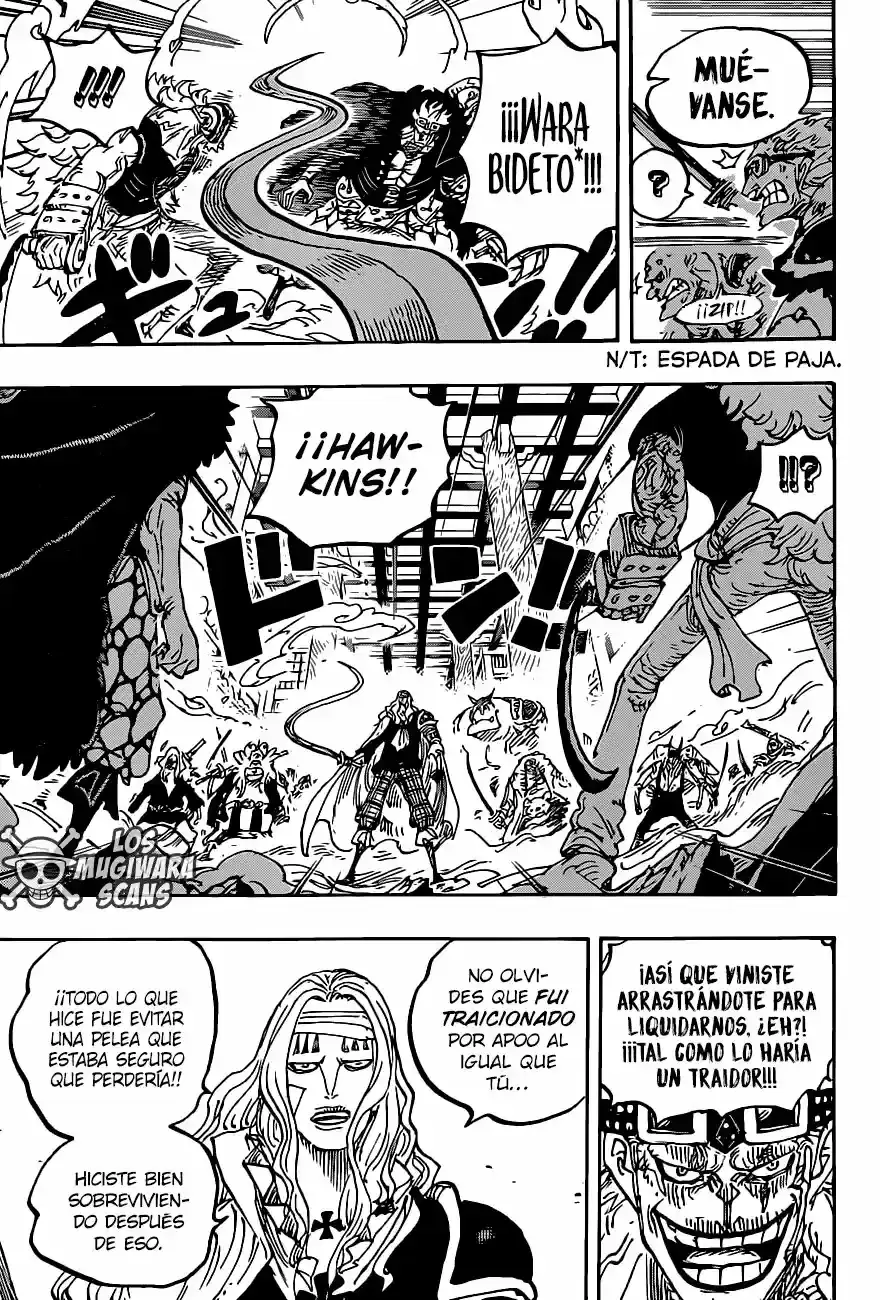 One Piece capítulo 1011.5 página 10