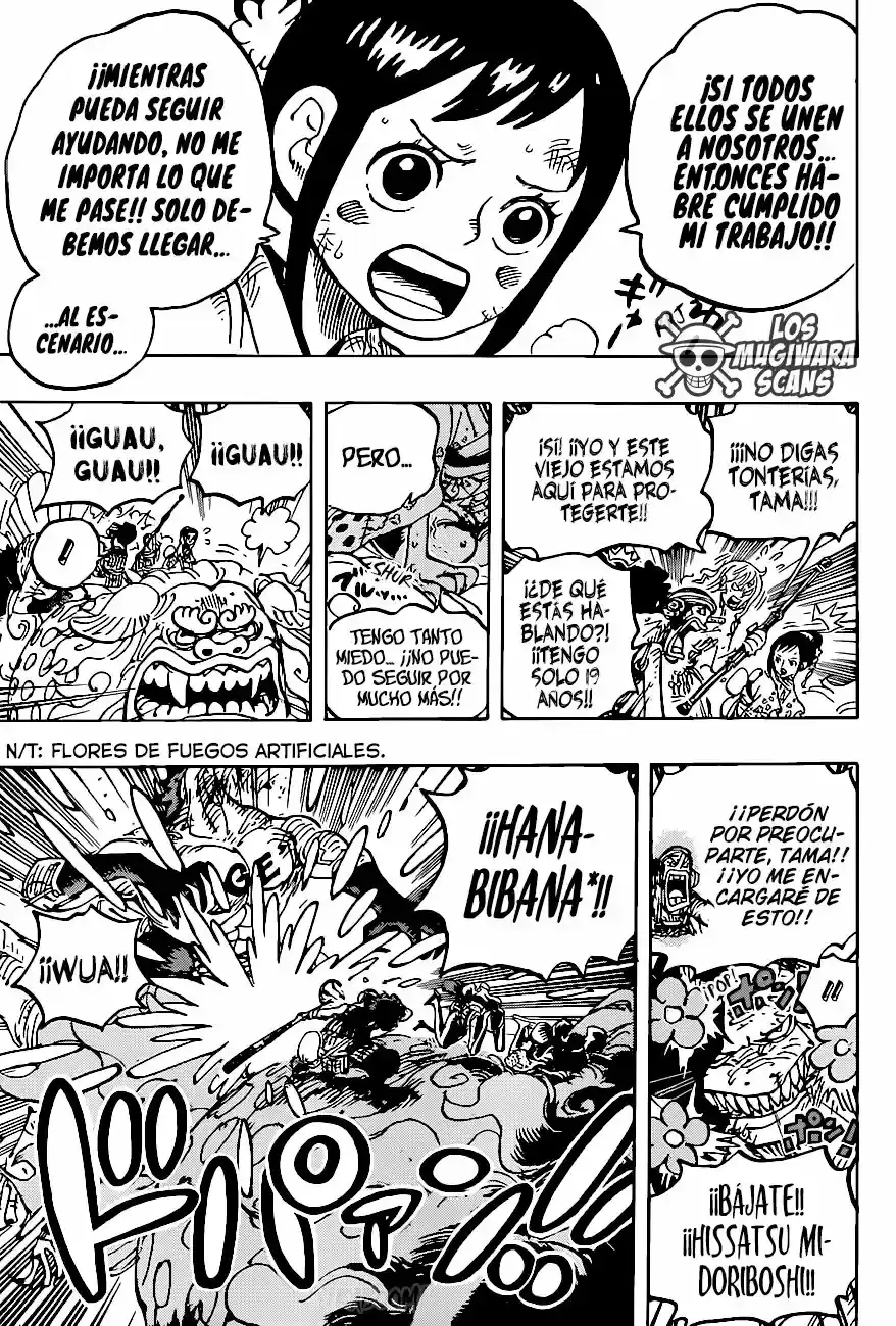 One Piece capítulo 1011.5 página 14