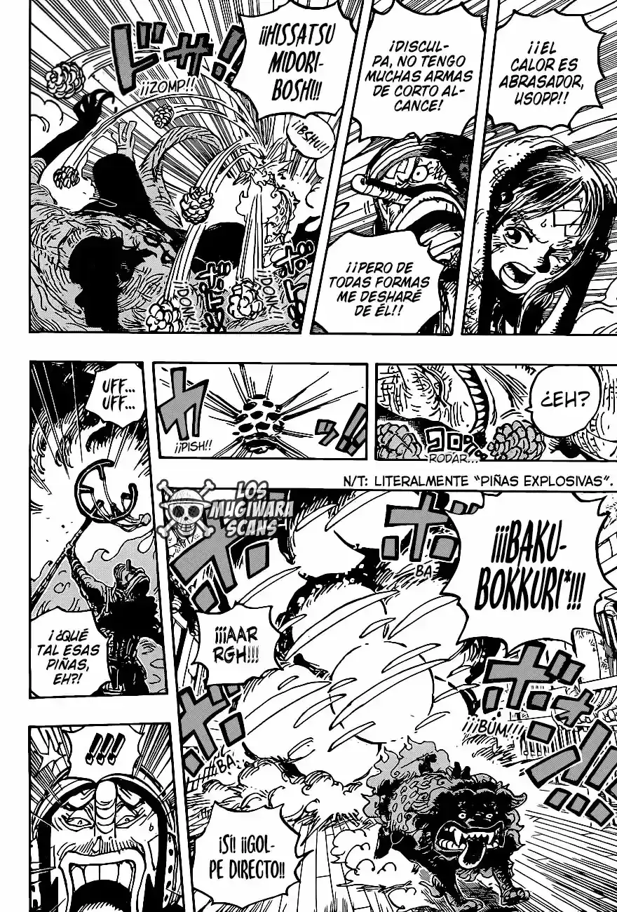 One Piece capítulo 1011.5 página 15