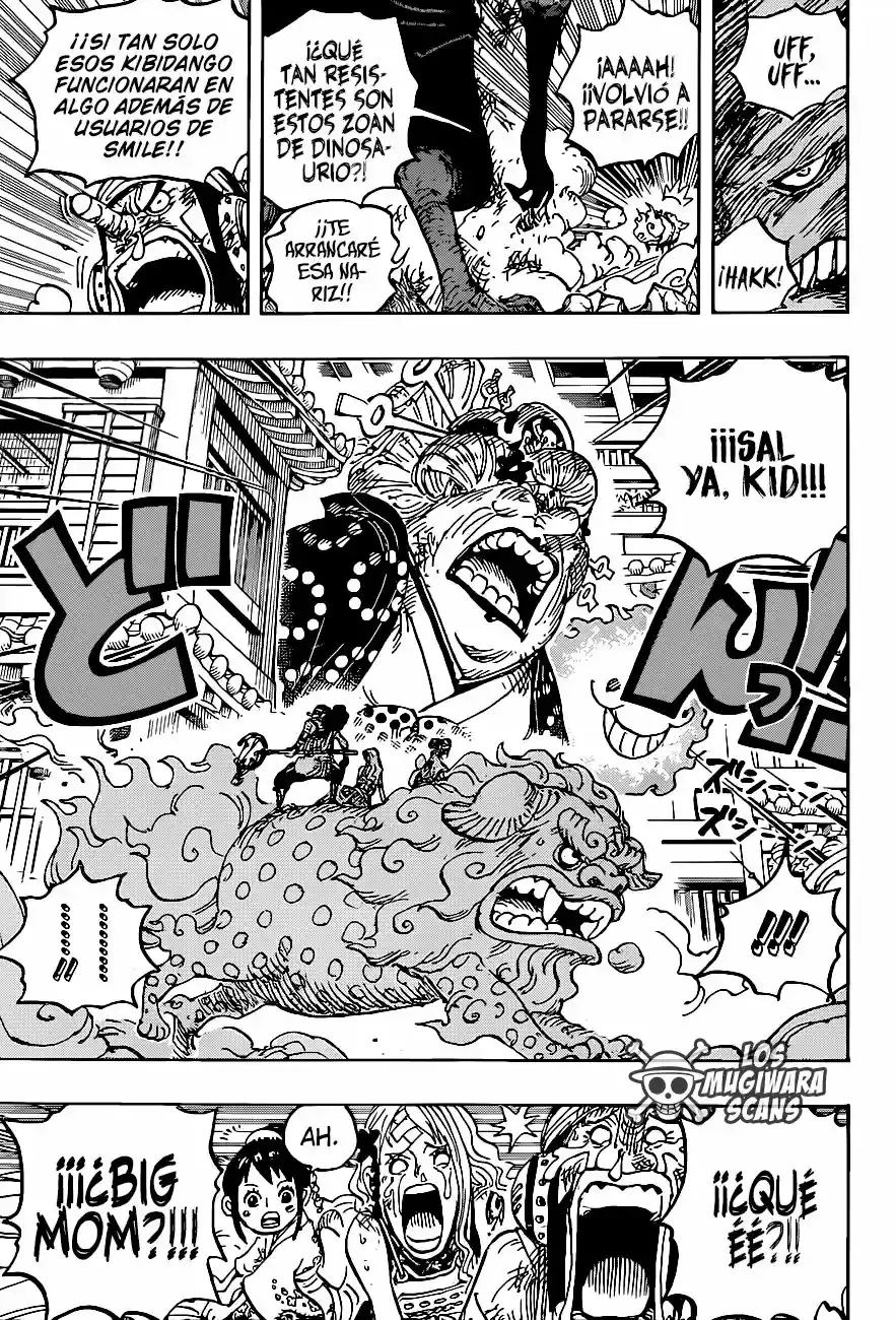 One Piece capítulo 1011.5 página 16