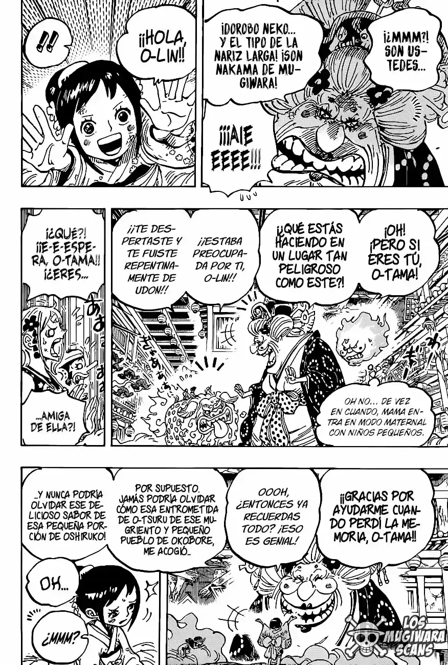 One Piece capítulo 1011.5 página 17
