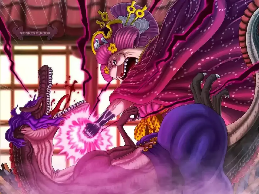 One Piece capítulo 1011.5 página 22