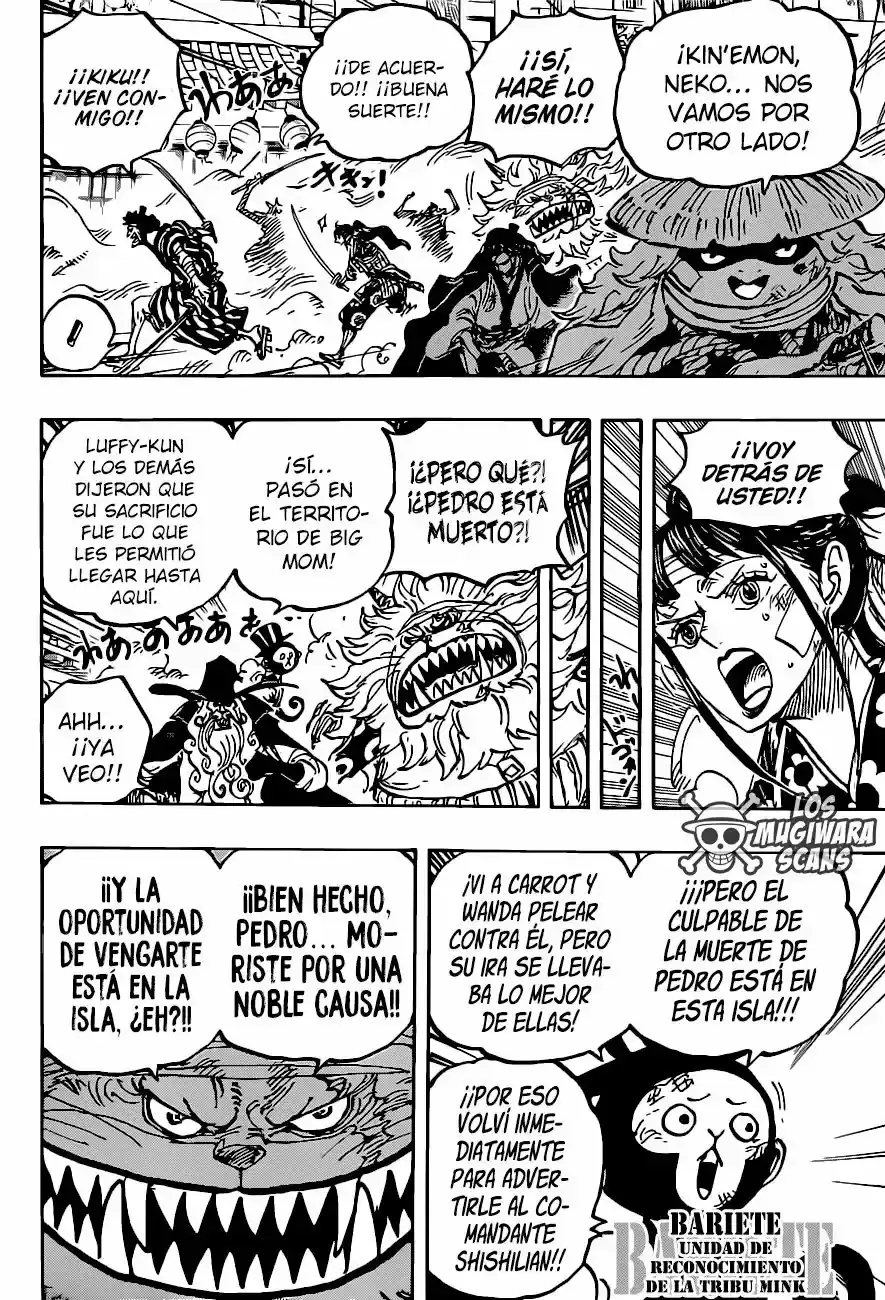 One Piece capítulo 1012.5 página 5