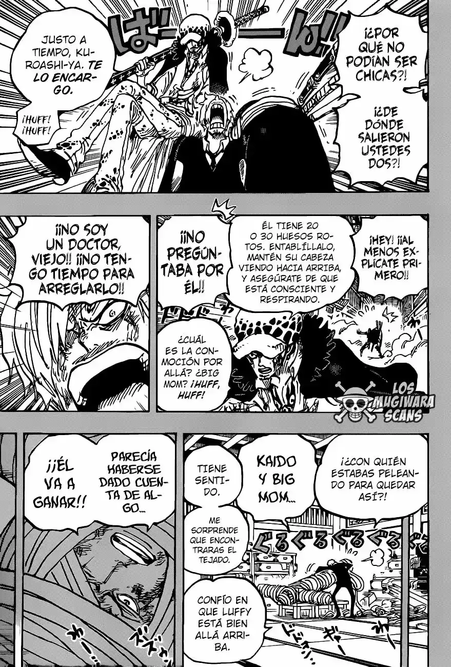 One Piece capítulo 1012.5 página 10
