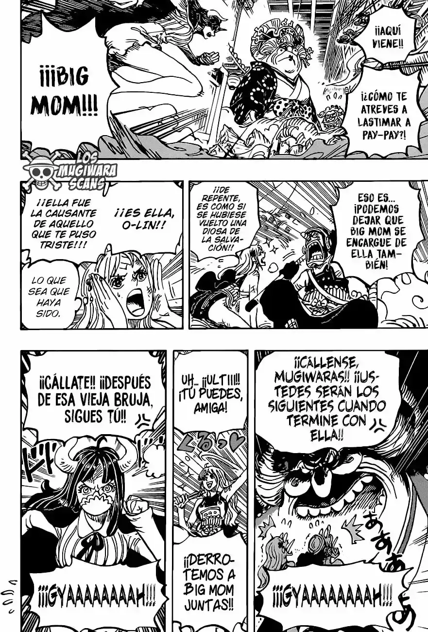One Piece capítulo 1012.5 página 13